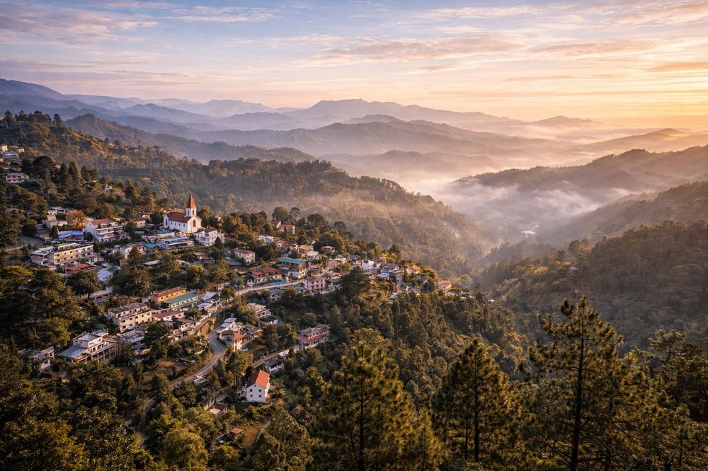 Lansdowne pine forest